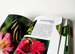 Diseño Libro Mariposas
