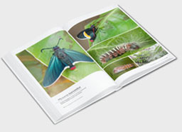 foto libro