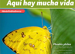 Señaleticas Biodiversidad el Poblado