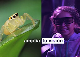 Turismo responsable